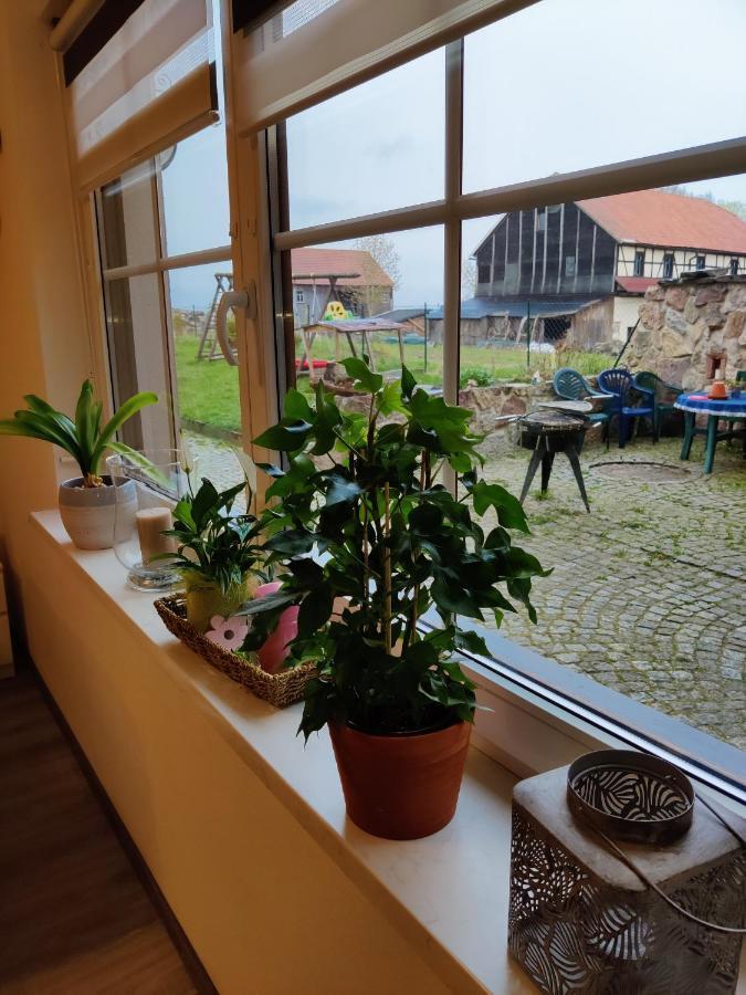 Ferienwohnung Brunow "In Der Natur Zuhause" Neundorf (Thuringia) Exterior foto